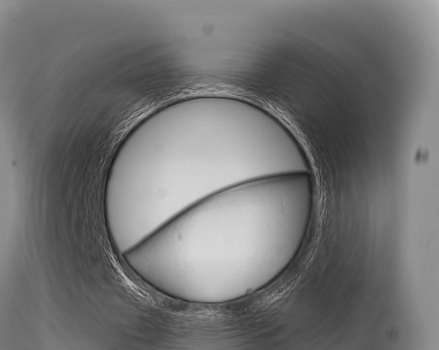 X0000115670433200911121010