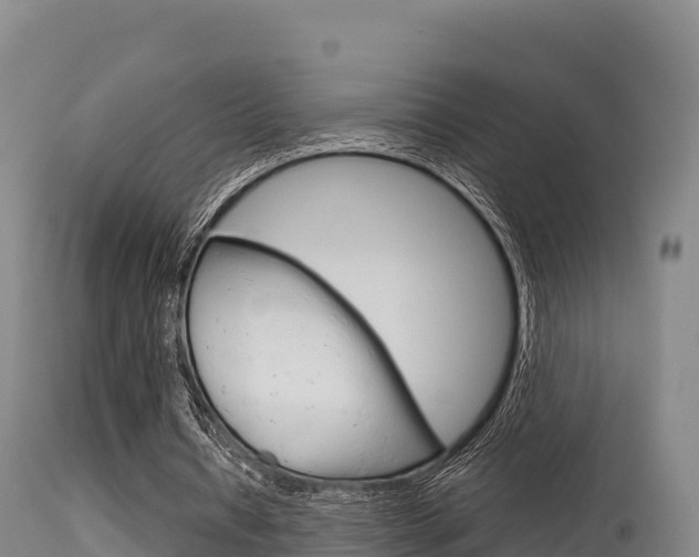 X0000115670434200911121010