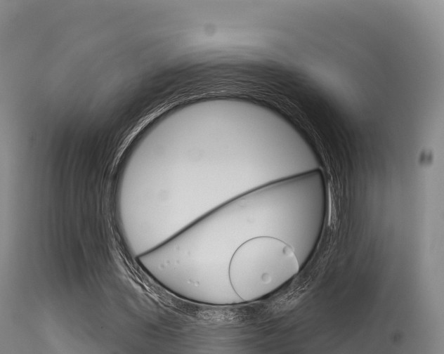 X0000115670435200911121010