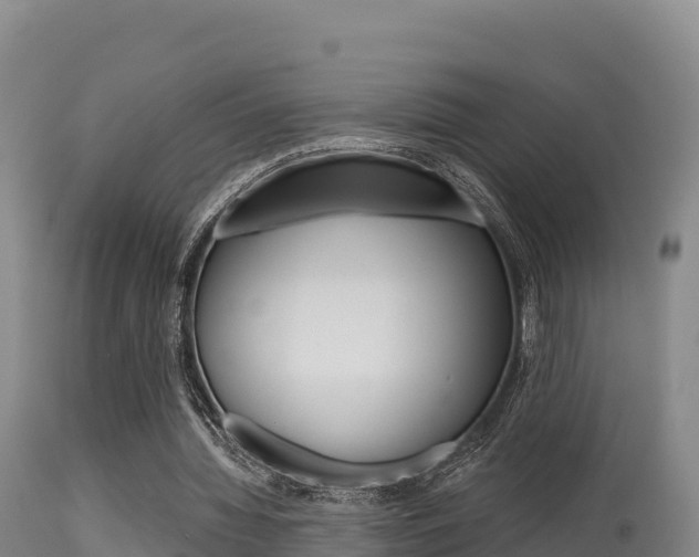 X0000115670436200911121010