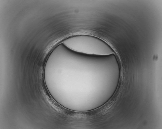 X0000115670437200911121010