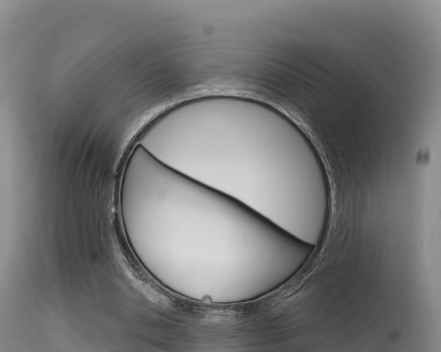 X0000115670438200911121010