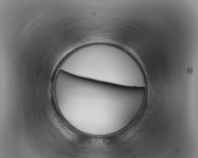 X0000115670439200911121010