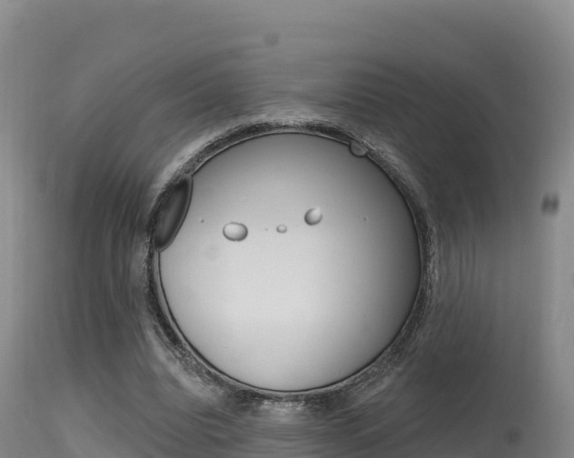 X0000115670440200911121010
