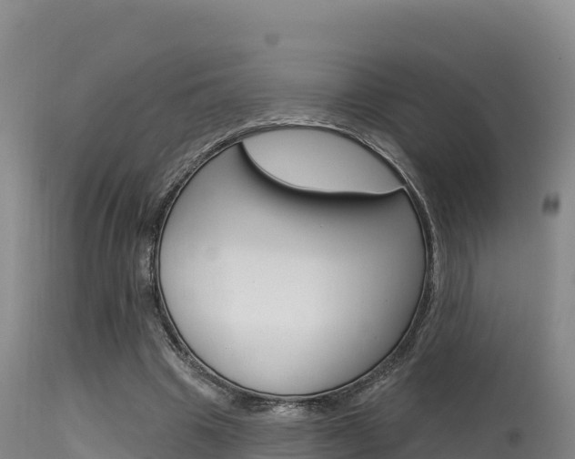 X0000115670441200911121010