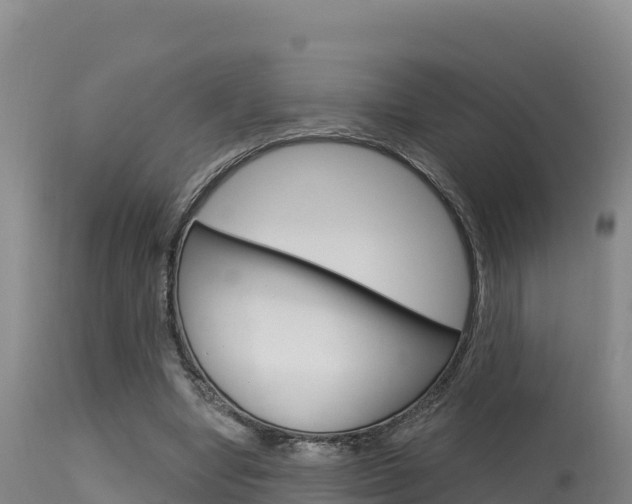 X0000115670442200911121010