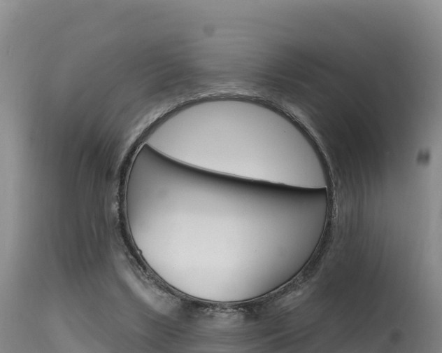 X0000115670443200911121010