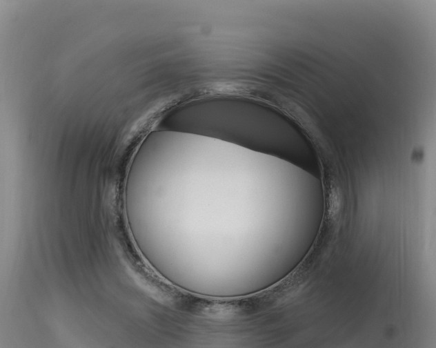X0000115670444200911121010