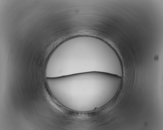 X0000115670445200911121010