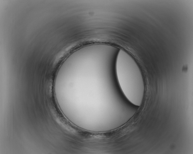 X0000115670446200911121010