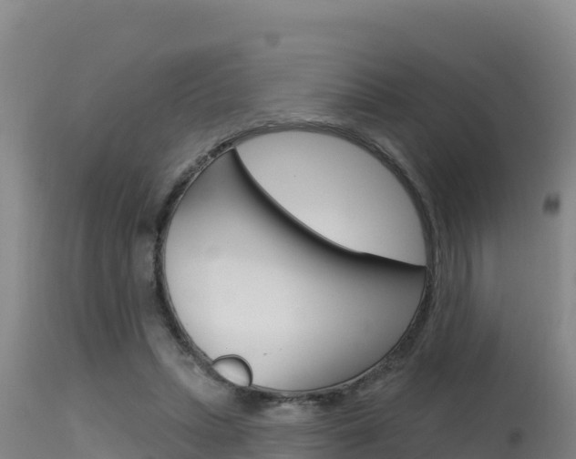 X0000115670447200911121010