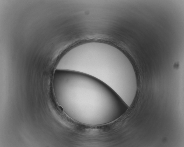 X0000115670448200911121010