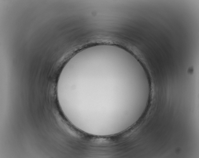 X0000115670449200911121010