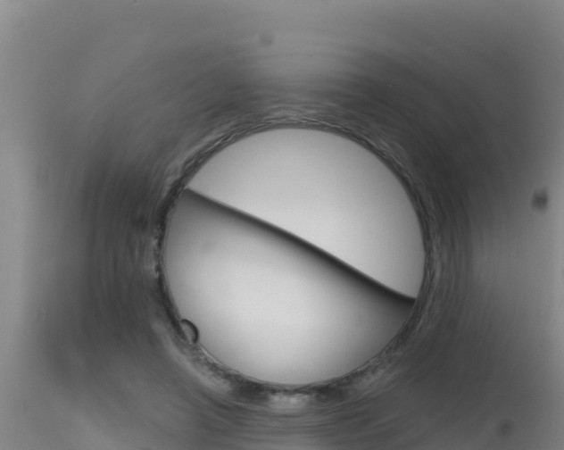 X0000115670450200911121010