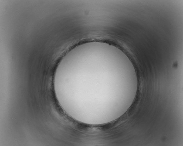 X0000115670451200911121010