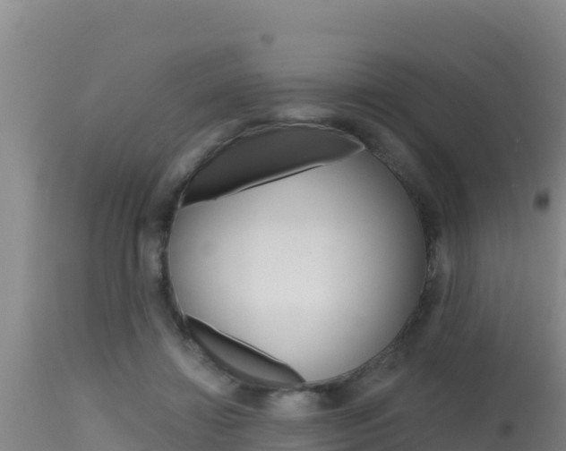 X0000115670452200911121010