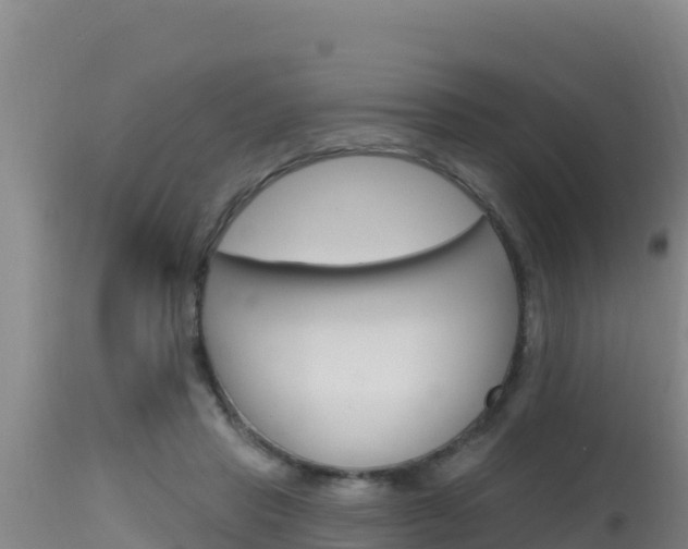X0000115670453200911121010