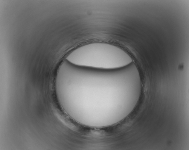 X0000115670455200911121010