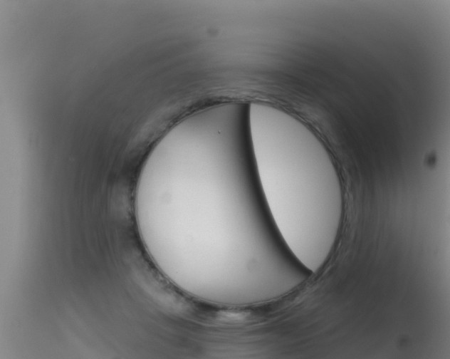 X0000115670457200911121010