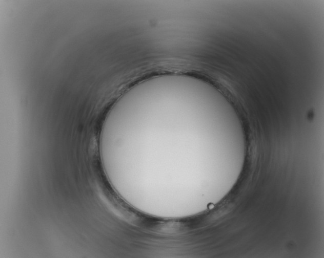 X0000115670459200911121010