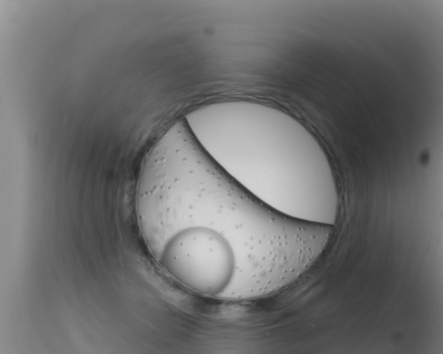 X0000115670462200911121010