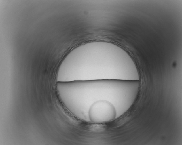 X0000115670465200911121010