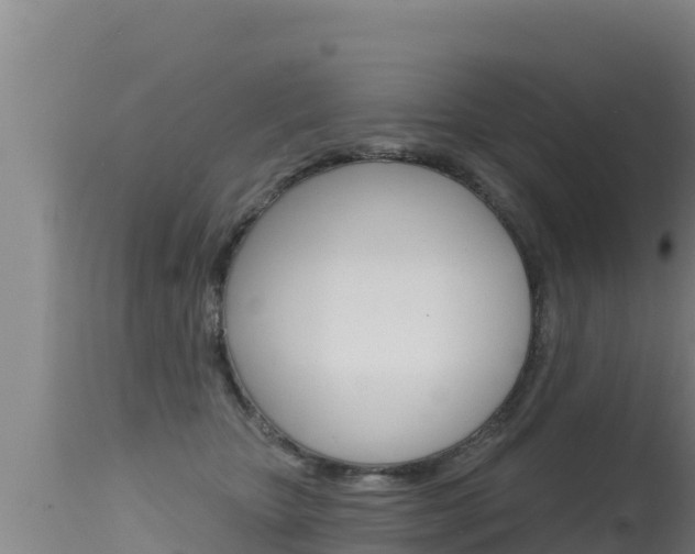 X0000115670467200911121010
