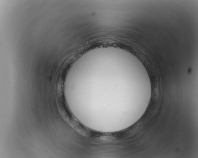 X0000115670468200911121010