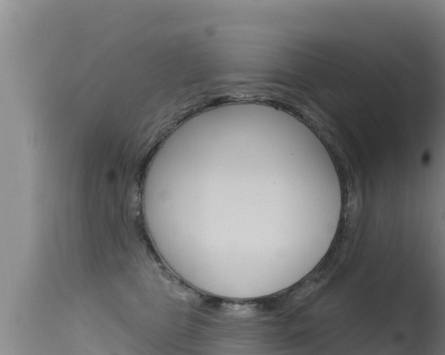 X0000115670469200911121010