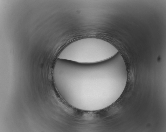 X0000115670470200911121010