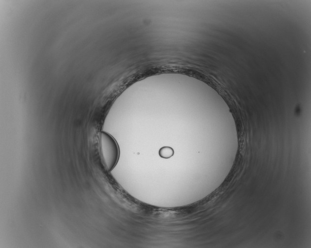 X0000115670472200911121010