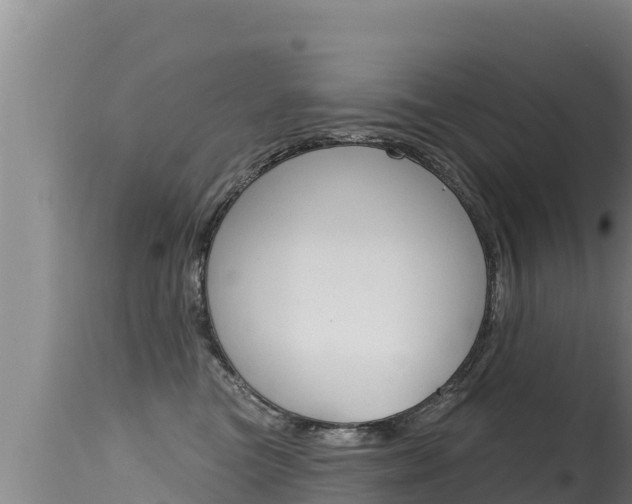 X0000115670473200911121010