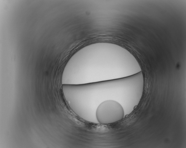 X0000115670475200911121011