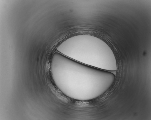 X0000115670476200911121011