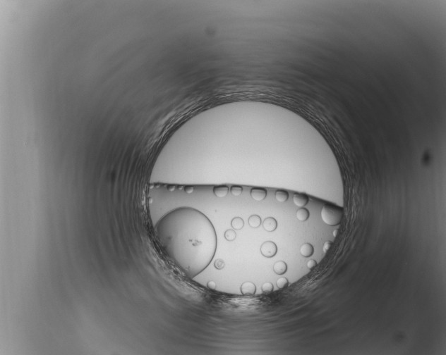 X0000115670478200911121011