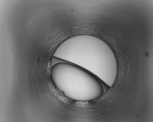 X0000115670480200911121011