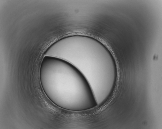 X0000115670481200911121010