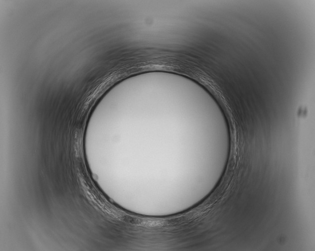 X0000115670482200911121010