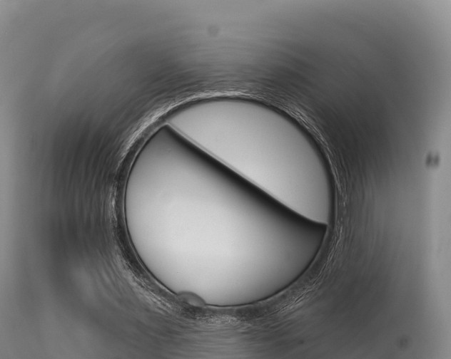 X0000115670483200911121010