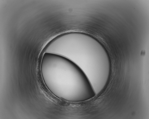 X0000115670484200911121010