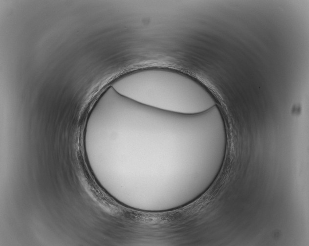 X0000115670486200911121010