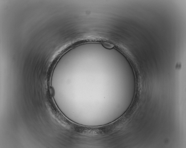 X0000115670488200911121010
