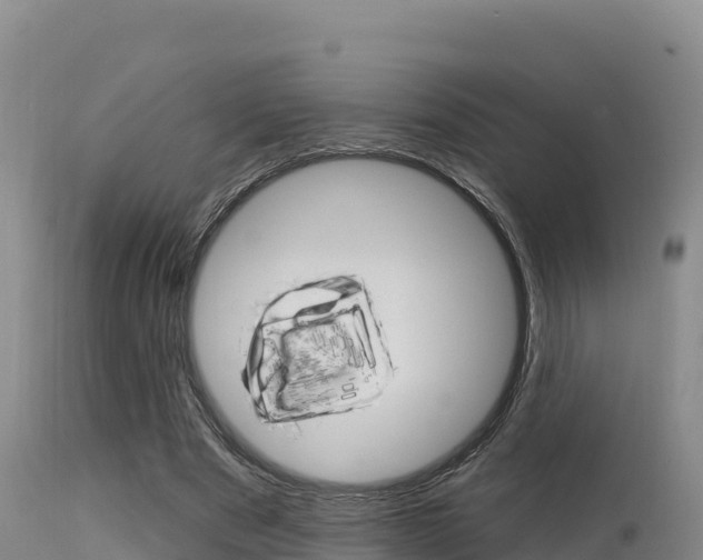 X0000115670489200911121010