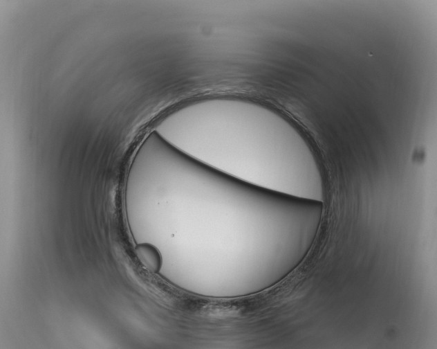 X0000115670491200911121010