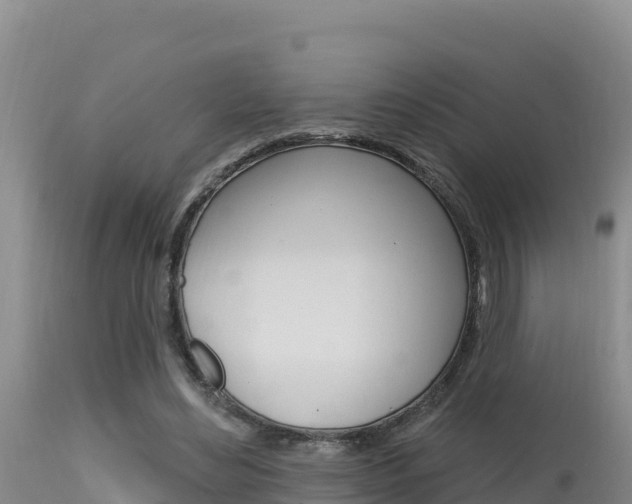 X0000115670492200911121009