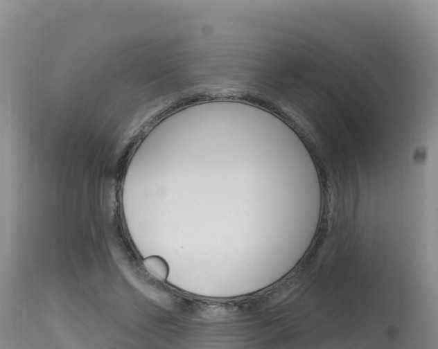 X0000115670494200911121009