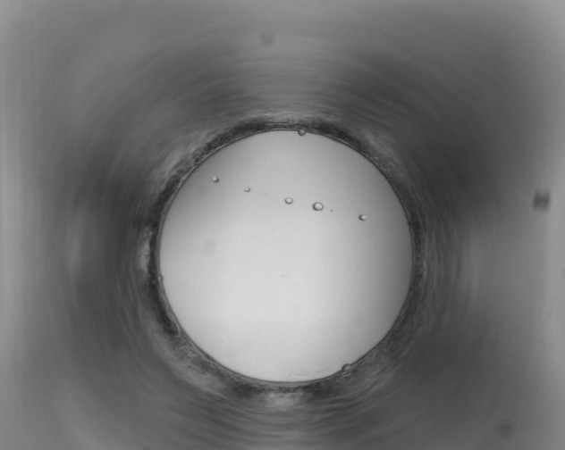 X0000115670495200911121009