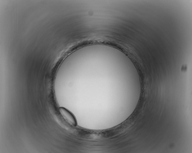 X0000115670496200911121009