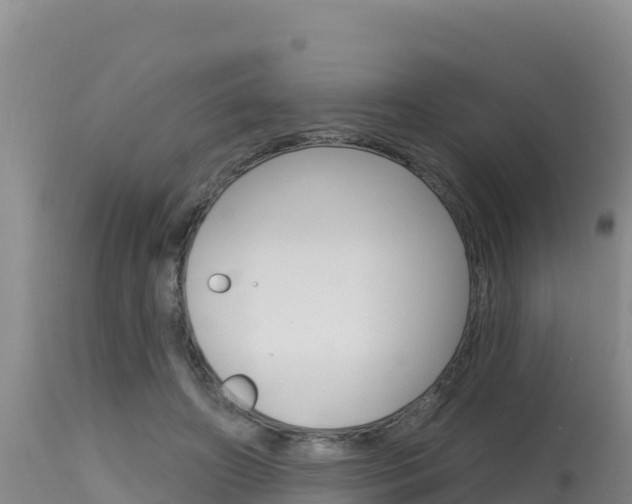 X0000115670498200911121009