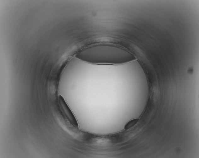 X0000115670500200911121009